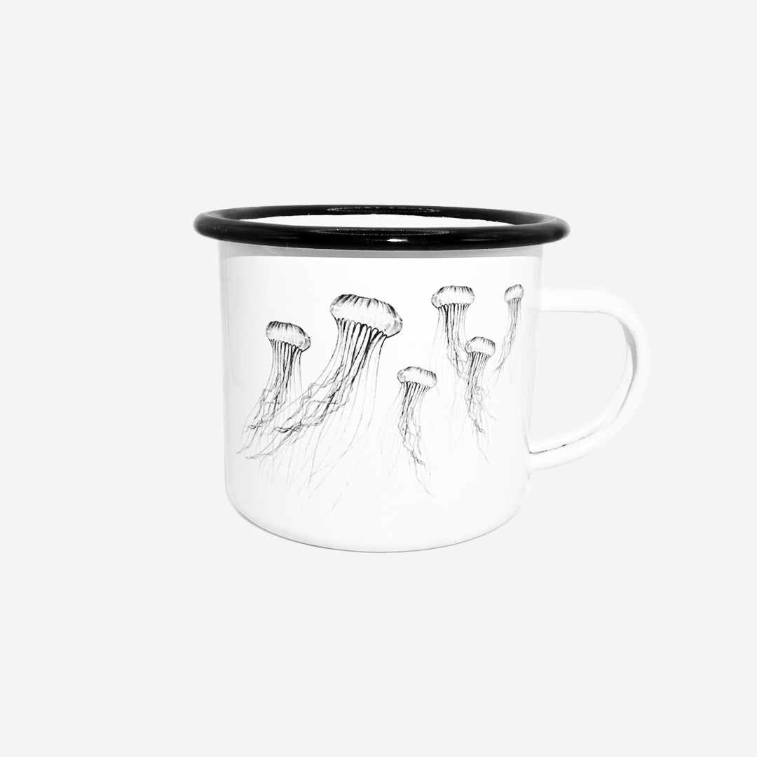 Jellyfish