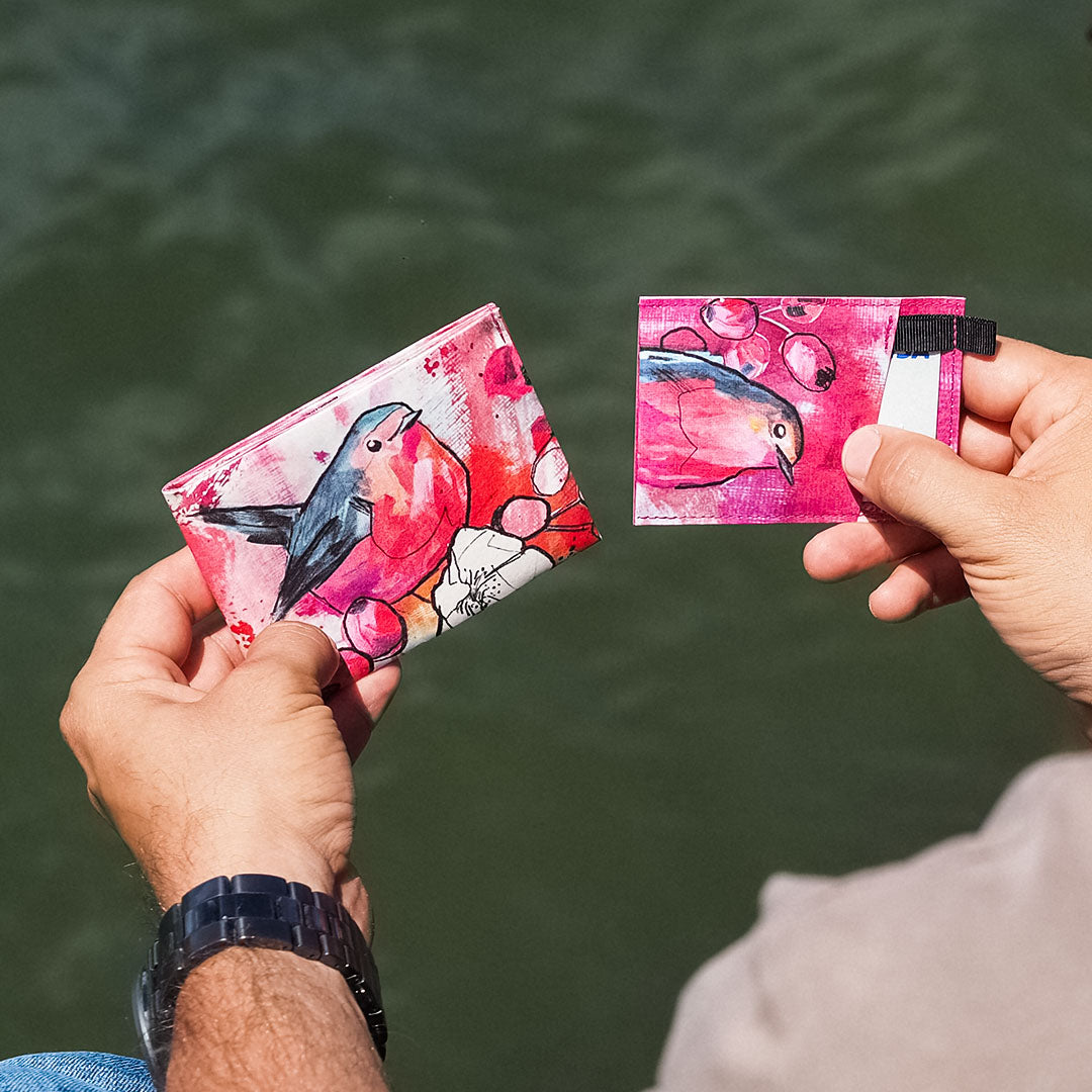 Curious Redbreast | Jules Boho Koop