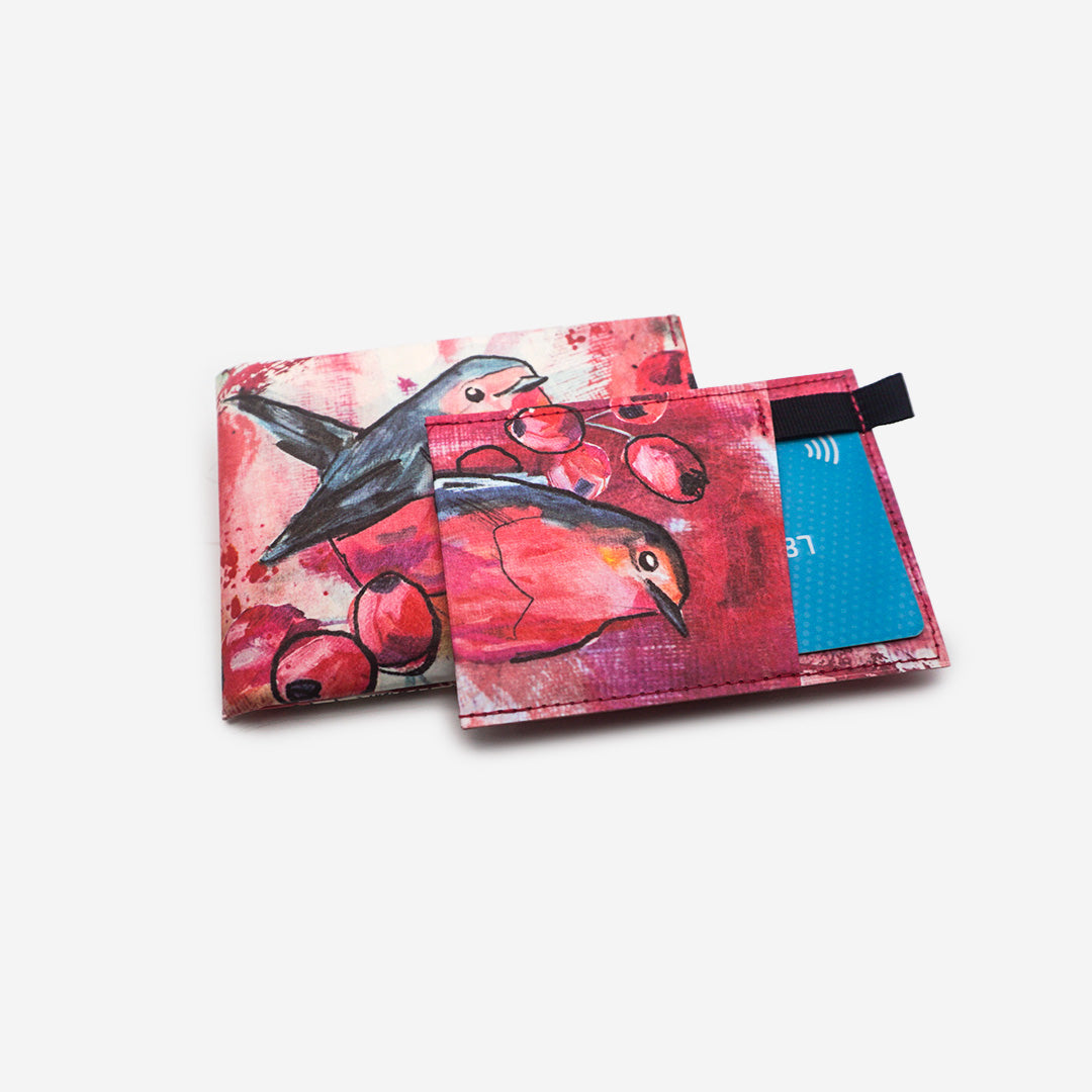 Curious Redbreast | Jules Boho Koop